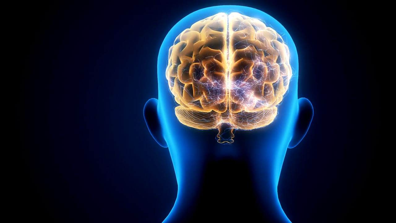 Modal Image Opens to lightbox video - illustration of brain