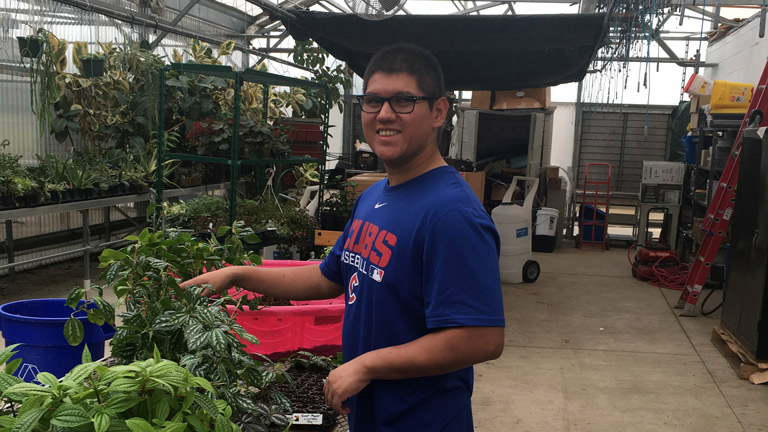 Student working in greenhouse