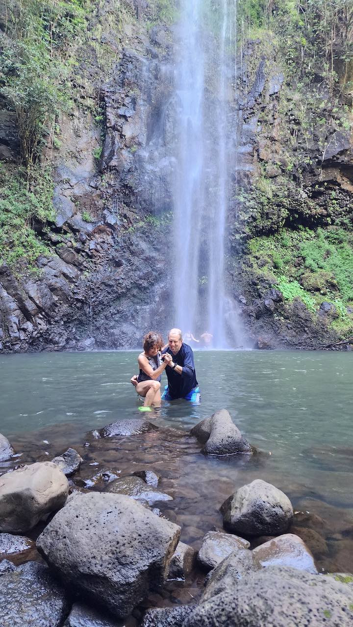hawaiian waterfall